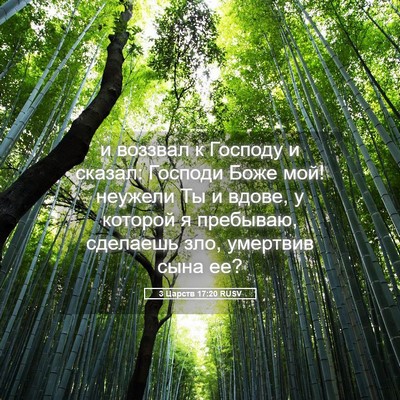 Picture 05 - 3 Царств 17:20 RUSV - и воззвал к Господу и - Bible Verse Picture