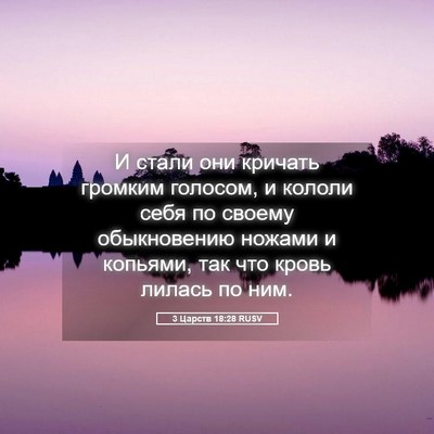 Picture 05 - 3 Царств 18:28 RUSV - И стали они кричать - Bible Verse Picture