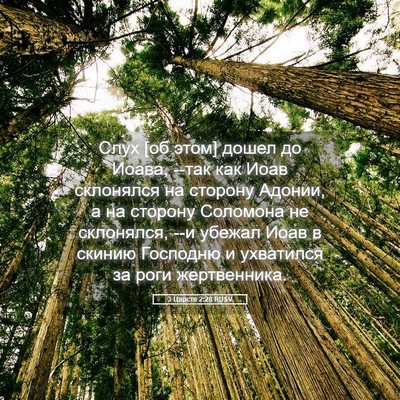 Picture 05 - 3 Царств 2:28 RUSV - Слух [об этом] дошел до - Bible Verse Picture