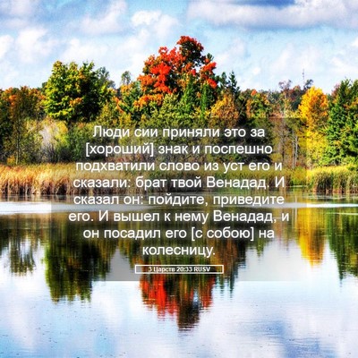 Picture 05 - 3 Царств 20:33 RUSV - Люди сии приняли это за - Bible Verse Picture