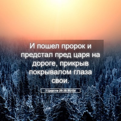 Picture 05 - 3 Царств 20:38 RUSV - И пошел пророк и предстал - Bible Verse Picture