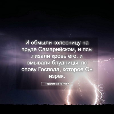 Picture 05 - 3 Царств 22:38 RUSV - И обмыли колесницу на - Bible Verse Picture