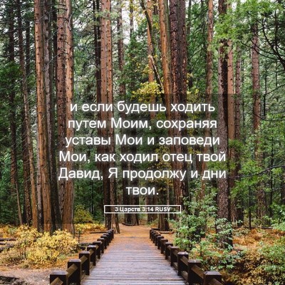 Picture 05 - 3 Царств 3:14 RUSV - и если будешь ходить путем - Bible Verse Picture