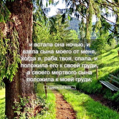 Picture 05 - 3 Царств 3:20 RUSV - и встала она ночью, и взяла - Bible Verse Picture