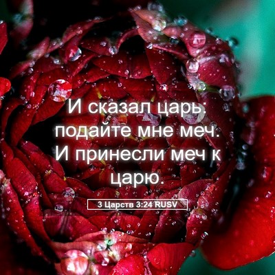 Picture 05 - 3 Царств 3:24 RUSV - И сказал царь: подайте мне - Bible Verse Picture