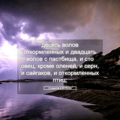 Picture 05 - 3 Царств 4:23 RUSV - десять волов откормленных - Bible Verse Picture