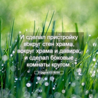 Picture 05 - 3 Царств 6:5 RUSV - И сделал пристройку вокруг - Bible Verse Picture