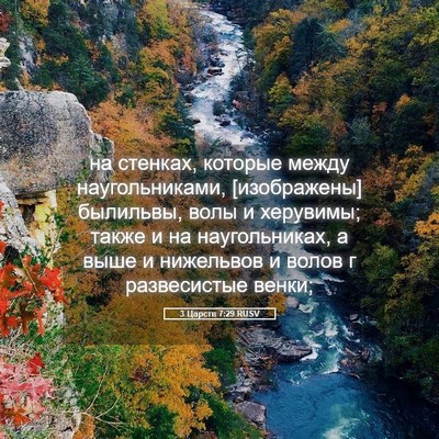 Picture 05 - 3 Царств 7:29 RUSV - на стенках, которые между - Bible Verse Picture