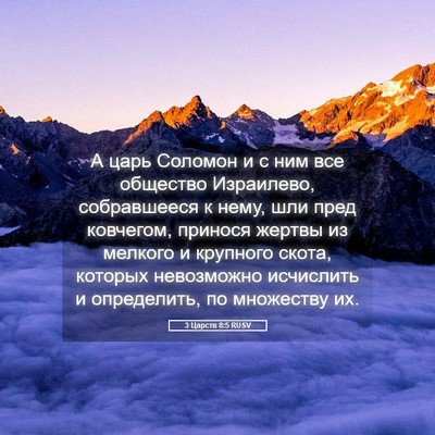 Picture 05 - 3 Царств 8:5 RUSV - А царь Соломон и с ним все - Bible Verse Picture