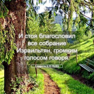 Picture 05 - 3 Царств 8:55 RUSV - И стоя благословил все - Bible Verse Picture