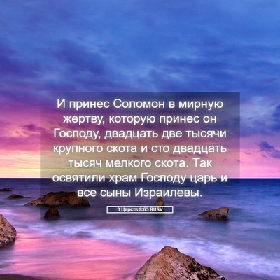 Picture 05 - 3 Царств 8:63 RUSV - И принес Соломон в мирную - Bible Verse Picture