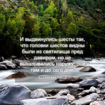 Picture 05 - 3 Царств 8:8 RUSV - И выдвинулись шесты так, - Bible Verse Picture