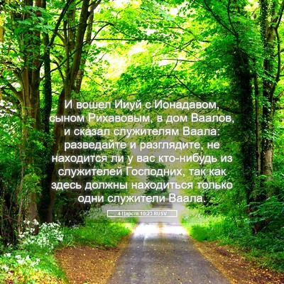Picture 05 - 4 Царств 10:23 RUSV - И вошел Ииуй с Ионадавом, - Bible Verse Picture