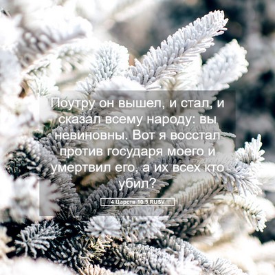 Picture 05 - 4 Царств 10:9 RUSV - Поутру он вышел, и стал, и - Bible Verse Picture