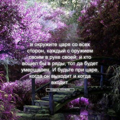 Picture 05 - 4 Царств 11:8 RUSV - и окружите царя со всех - Bible Verse Picture