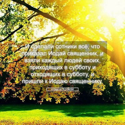 Picture 05 - 4 Царств 11:9 RUSV - И сделали сотники всё, что - Bible Verse Picture