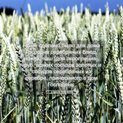 Picture 05 - 4 Царств 12:13 RUSV - Но не сделано было для дома - Bible Verse Picture