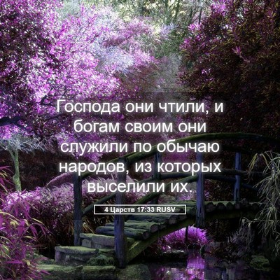 Picture 05 - 4 Царств 17:33 RUSV - Господа они чтили, и богам - Bible Verse Picture