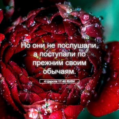 Picture 05 - 4 Царств 17:40 RUSV - Но они не послушали, а - Bible Verse Picture
