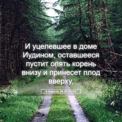 Picture 05 - 4 Царств 19:30 RUSV - И уцелевшее в доме Иудином, - Bible Verse Picture
