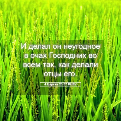 Picture 05 - 4 Царств 23:37 RUSV - И делал он неугодное в очах - Bible Verse Picture