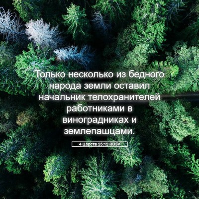 Picture 05 - 4 Царств 25:12 RUSV - Только несколько из - Bible Verse Picture