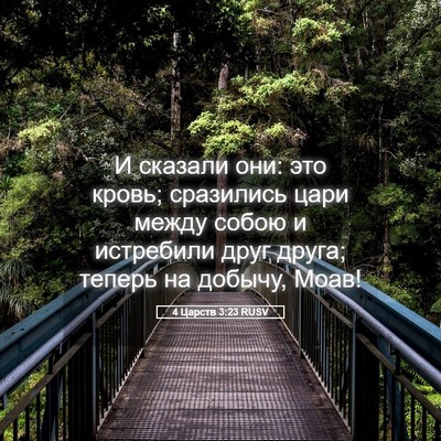 Picture 05 - 4 Царств 3:23 RUSV - И сказали они: это кровь; - Bible Verse Picture