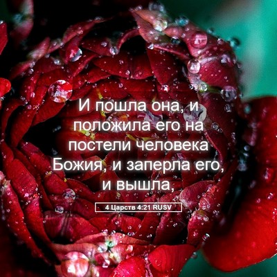 Picture 05 - 4 Царств 4:21 RUSV - И пошла она, и положила его - Bible Verse Picture