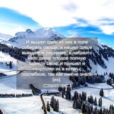 Picture 05 - 4 Царств 4:39 RUSV - И вышел один из них в поле - Bible Verse Picture