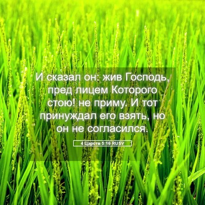 Picture 05 - 4 Царств 5:16 RUSV - И сказал он: жив Господь, - Bible Verse Picture