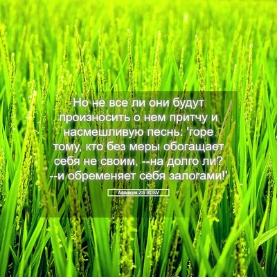Picture 05 - Аввакум 2:6 RUSV - Но не все ли они будут - Bible Verse Picture