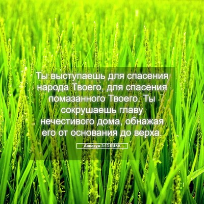 Picture 05 - Аввакум 3:13 RUSV - Ты выступаешь для спасения - Bible Verse Picture