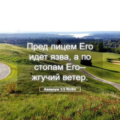 Picture 05 - Аввакум 3:5 RUSV - Пред лицем Его идет язва, а - Bible Verse Picture