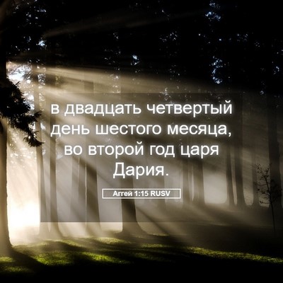 Picture 05 - Аггей 1:15 RUSV - в двадцать четвертый день - Bible Verse Picture