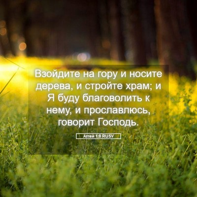 Picture 05 - Аггей 1:8 RUSV - Взойдите на гору и носите - Bible Verse Picture
