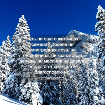 Picture 05 - Аггей 2:19 RUSV - есть ли еще в житницах - Bible Verse Picture