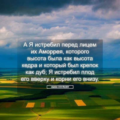 Picture 05 - Амос 2:9 RUSV - А Я истребил перед лицем их - Bible Verse Picture