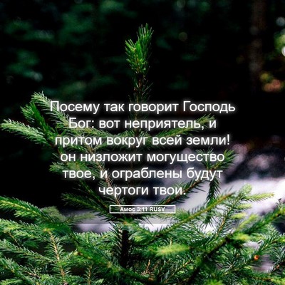 Picture 05 - Амос 3:11 RUSV - Посему так говорит Господь - Bible Verse Picture