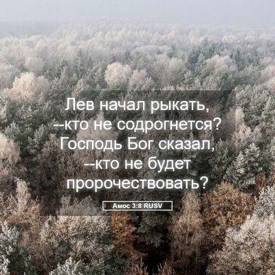 Picture 05 - Амос 3:8 RUSV - Лев начал рыкать, --кто не - Bible Verse Picture