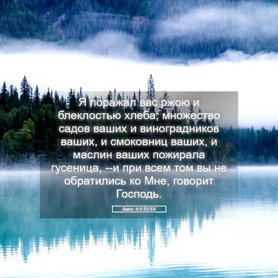 Picture 05 - Амос 4:9 RUSV - Я поражал вас ржою и - Bible Verse Picture