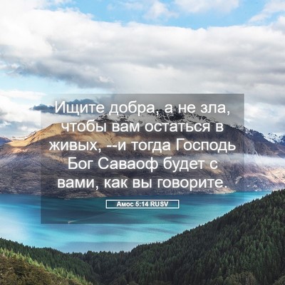 Picture 05 - Амос 5:14 RUSV - Ищите добра, а не зла, чтобы - Bible Verse Picture