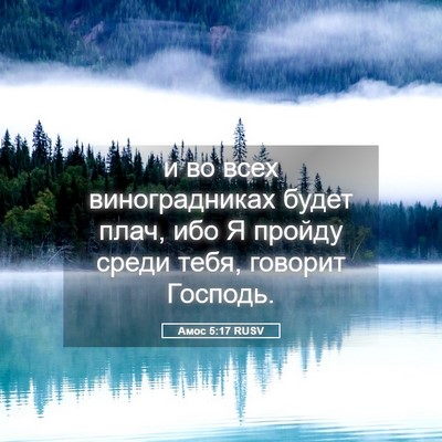 Picture 05 - Амос 5:17 RUSV - и во всех виноградниках - Bible Verse Picture