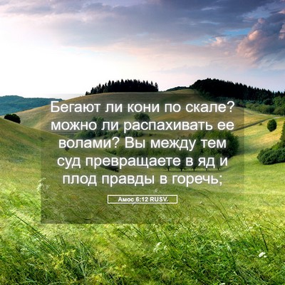 Picture 05 - Амос 6:12 RUSV - Бегают ли кони по скале? - Bible Verse Picture