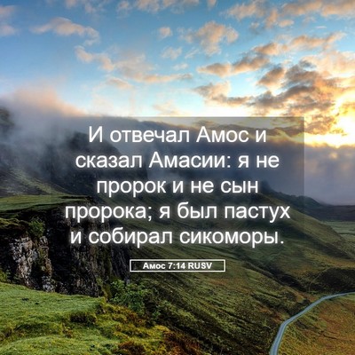 Picture 05 - Амос 7:14 RUSV - И отвечал Амос и сказал - Bible Verse Picture