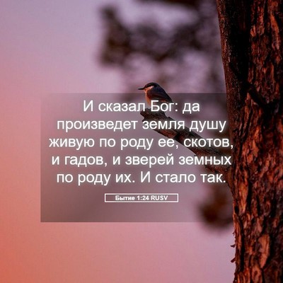 Picture 05 - Бытие 1:24 RUSV - И сказал Бог: да произведет - Bible Verse Picture