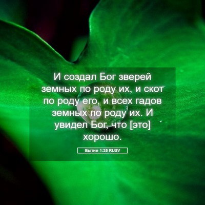 Picture 05 - Бытие 1:25 RUSV - И создал Бог зверей земных - Bible Verse Picture