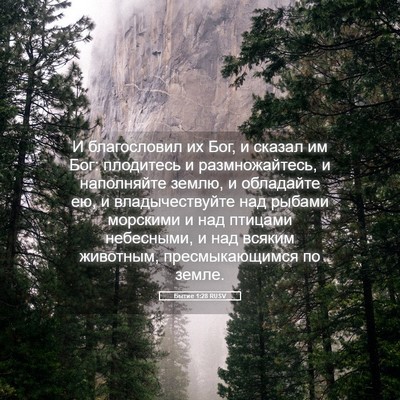 Picture 05 - Бытие 1:28 RUSV - И благословил их Бог, и - Bible Verse Picture