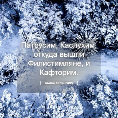Picture 05 - Бытие 10:14 RUSV - Патрусим, Каслухим, откуда - Bible Verse Picture