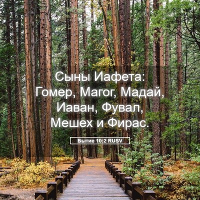 Picture 05 - Бытие 10:2 RUSV - Сыны Иафета: Гомер, Магог, - Bible Verse Picture