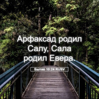 Picture 05 - Бытие 10:24 RUSV - Арфаксад родил Салу, Сала - Bible Verse Picture